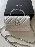Chanel Bags