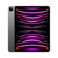 iPad Pro 12,9" M2 – Accessorio premium elegante