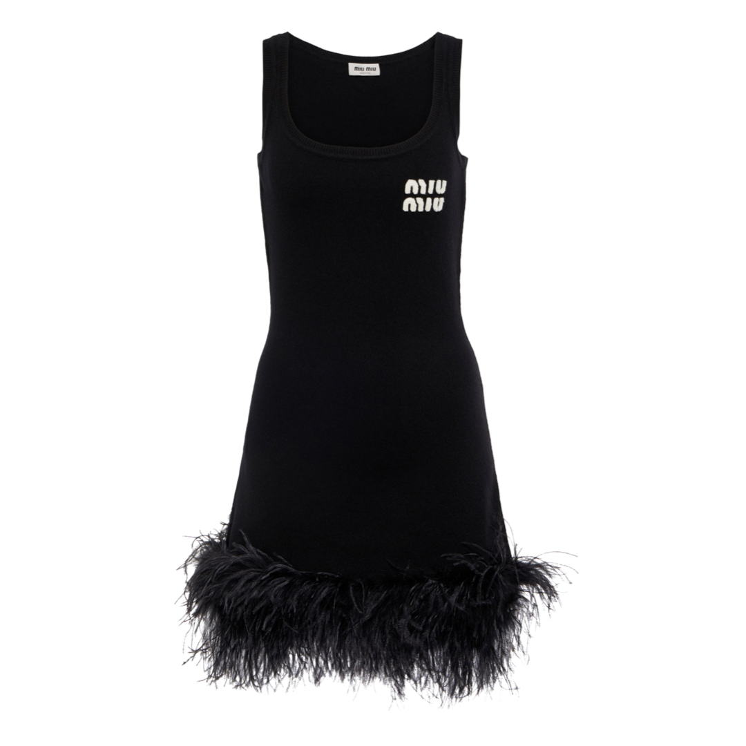 Robe Miu Miu à plumes – Accessorio premium elegante